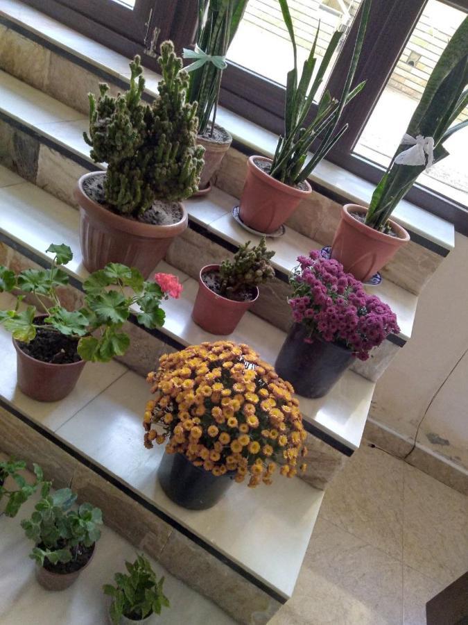 Uzbegim Family Guest House Μπουχάρα Εξωτερικό φωτογραφία